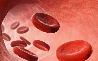 科学家改装红细胞用以递送药物