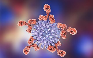 研究：人类免疫抗体布下六棱环型阵作战