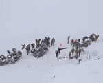 【快訊】土耳其發生雪崩 至少31死50人傷