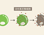 中共肺炎之下 怎樣提高自身免疫力自救