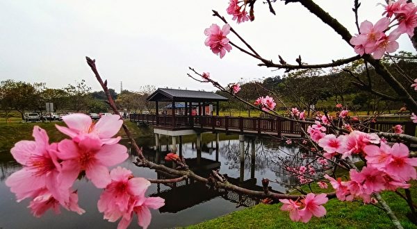 赏波斯花海秘径 台南山上花园水道博物馆