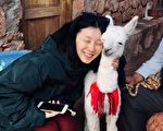 白安趁年节飞南美洲 体验人生最远旅程