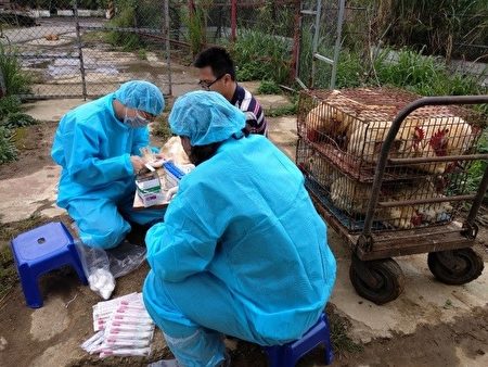 中共肺炎防疫台专家：猫犬不会感染新冠肺炎 宠物 犬猫不会感染 武汉 