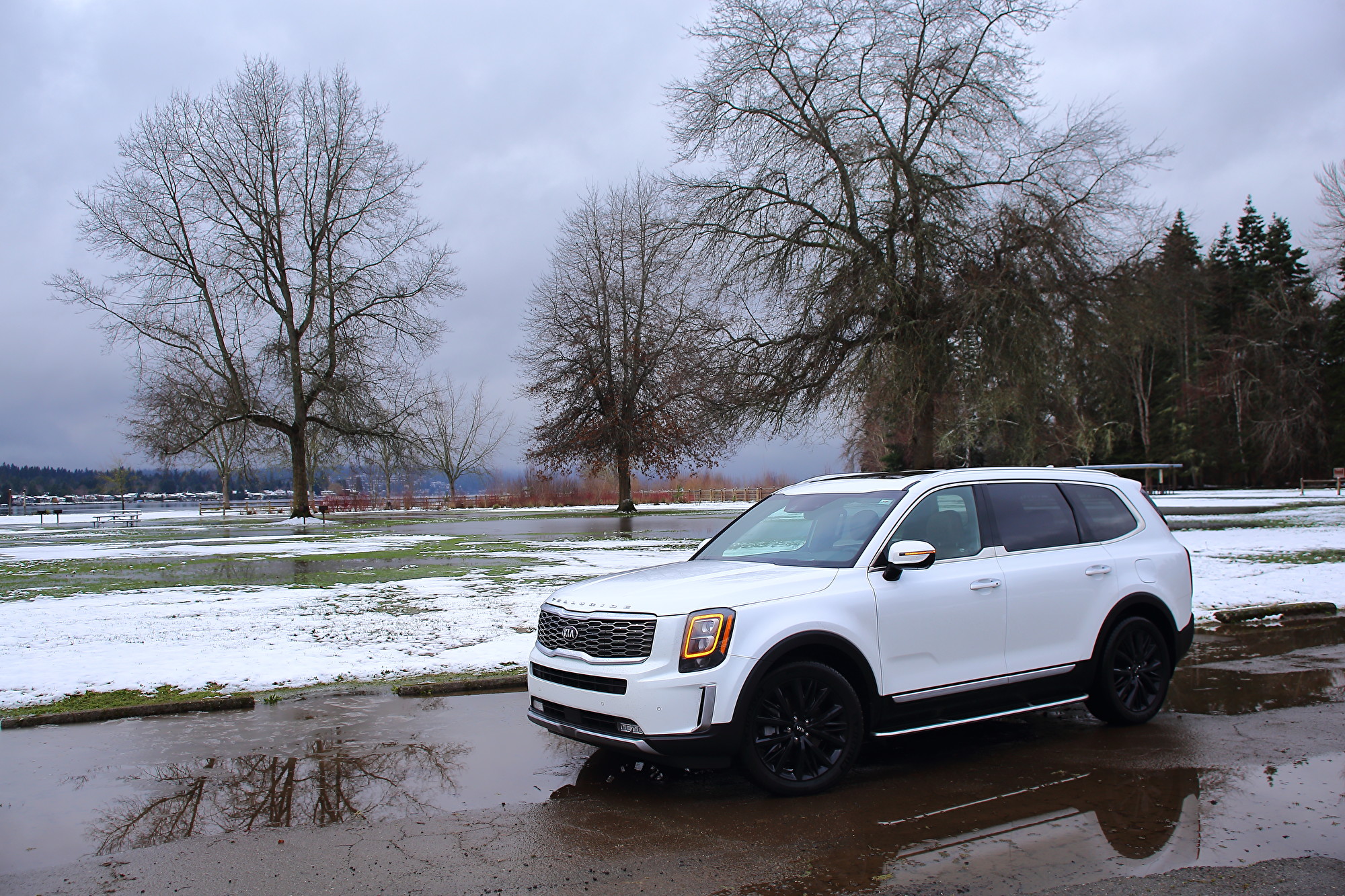 2020 Kia Telluride。〈李奥/大纪元〉