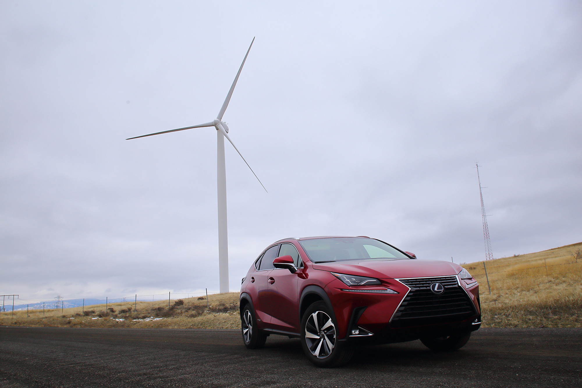 2020 Lexus NX300h。〈李奥/大纪元〉