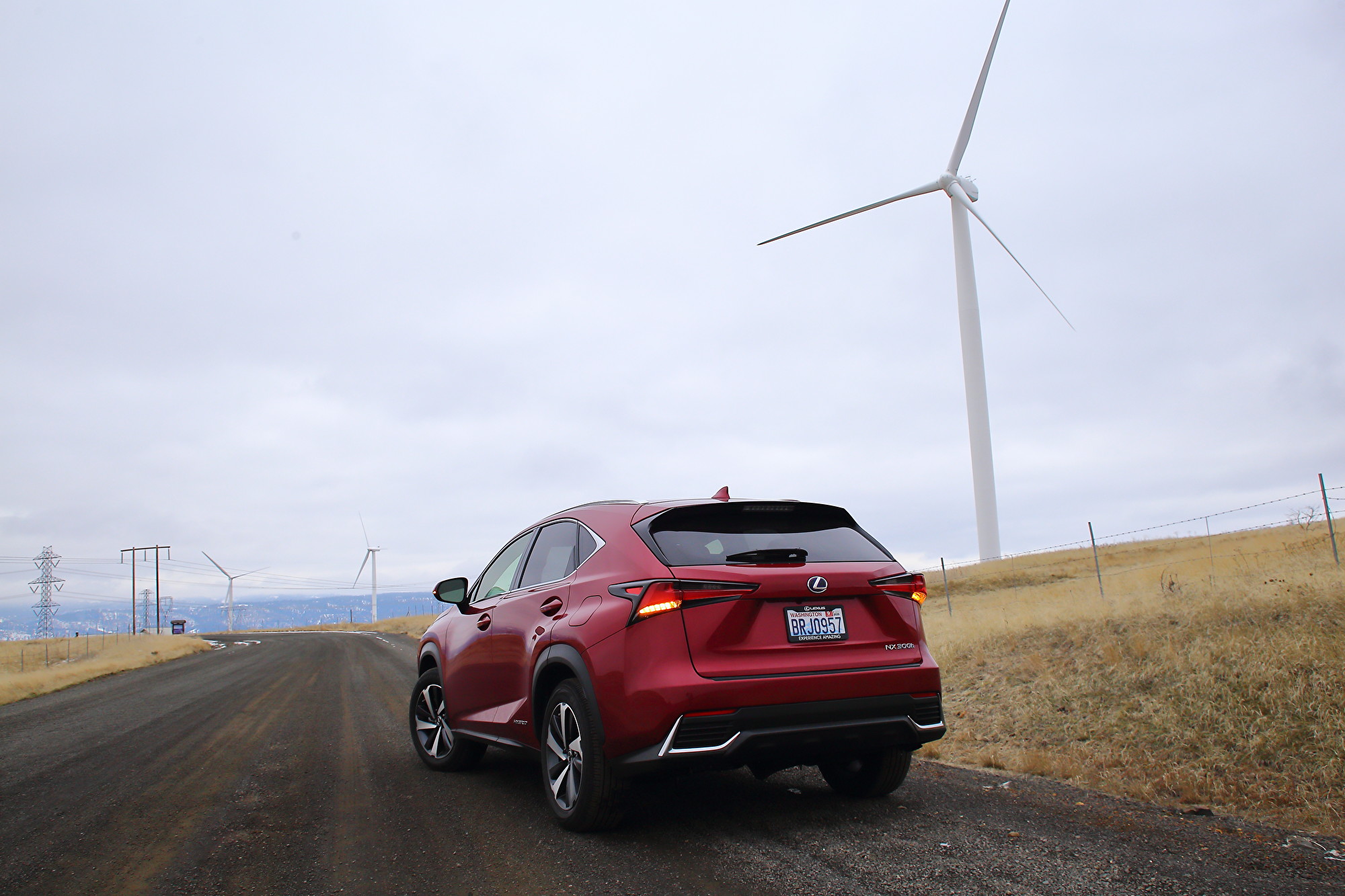2020 Lexus NX300h。〈李奥/大纪元〉