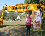 结合首届灯会 鱼池香菇鸡品尝行销在地产业
