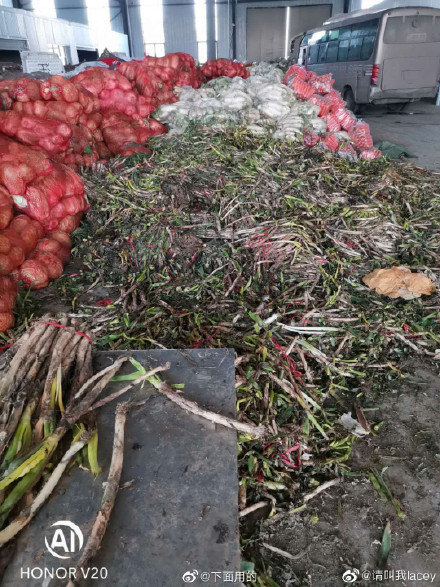 Donated goods rotting in a warehouse. (Courtesy of Sina Blog user Lacey)