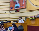黄敏惠针对中共肺炎防疫应变提出专题报告