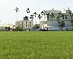 大雅農村水圳變公園 十四張圳公園完工