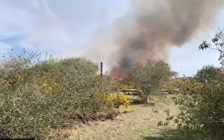 舊金山聖布魯諾山週五發生火災  無人員傷亡