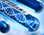 科学家成功提取150年前龙虾标本DNA