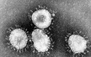 【最新疫情10·25】中共病毒变种 远距离可感染
