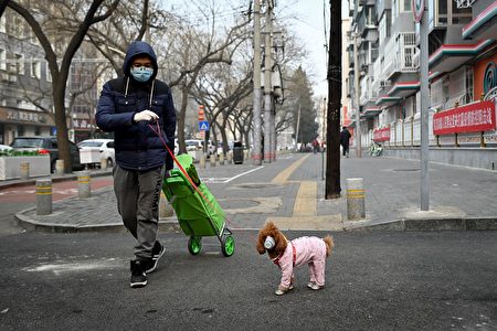 防中共肺炎中国小猫和小狗戴口罩 武汉肺炎 病毒 大纪元