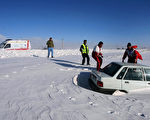 羊群遭大雪掩埋 伊朗农民奋力挖出 救活不少