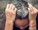 研究首次揭示壓力如何促生白髮