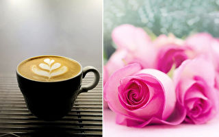 喝咖啡的视觉享受 咖啡师彩绘拉花萌翻26万粉丝