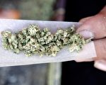 加拿大人用大麻 小心芳鄰卡申請被拒