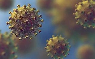 中共病毒感染者會獲得免疫力嗎？
