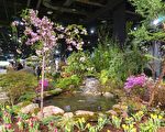 不懼疫情 2020波士頓花展揭幕