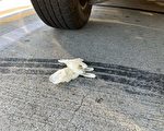 洛县警署：乱扔手套与口罩将被罚款