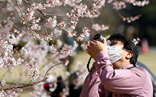 组图：疫情下 东京上野公园涌现赏樱人潮