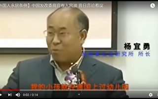 楊宜勇稱非「外國人永居條例」起草者 惹疑