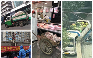 垃圾车运肉引民愤 武汉青山区副区长被查