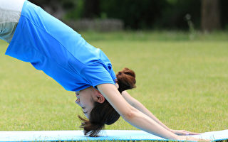 下犬式伸展是一種極具復健療效的瑜伽伸展姿勢。(Shutterstock)
