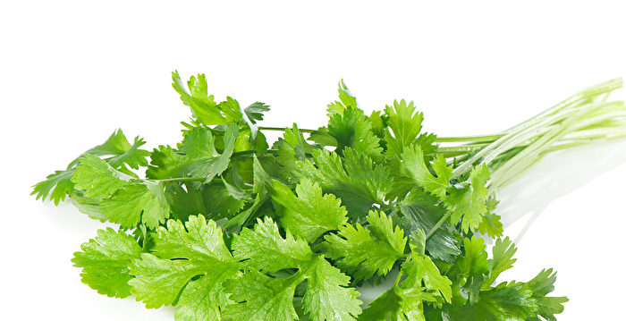 【食物名字藏玄機】 芫荽名字分不清！ 探尋背後的文化交流 | 大紀元