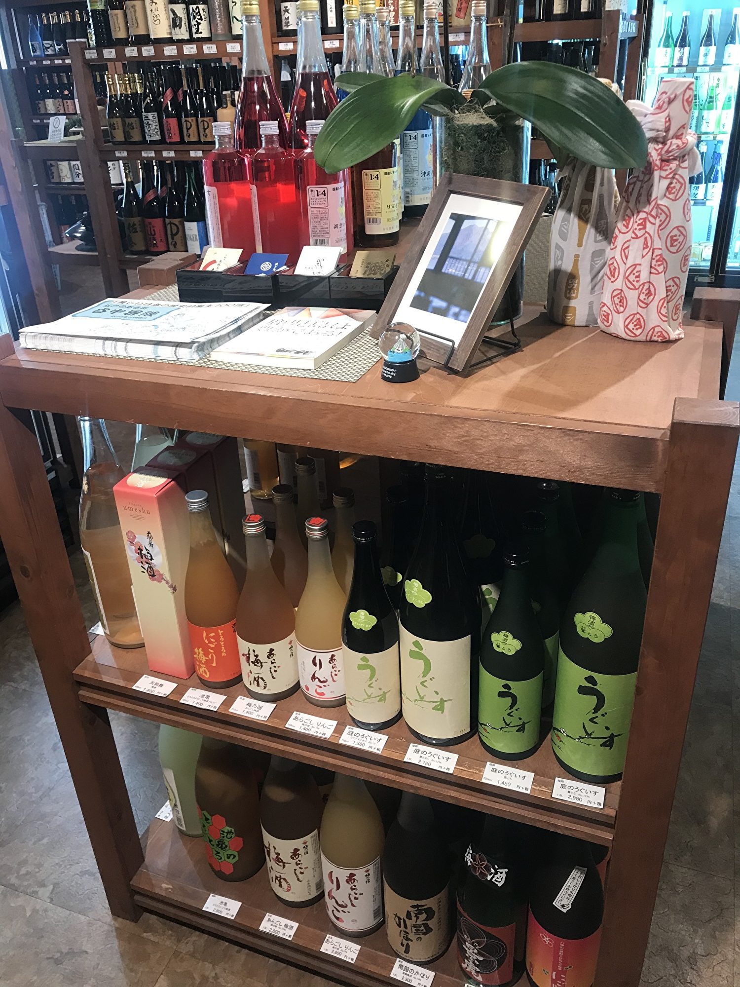 东京百年老酒铺伊势五本店，汇集日本各地名酒。（章妮妮/大纪元）