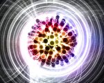 暗物质新候选粒子：六夸克粒子