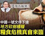 【有冇搞错】粮食危机真会来临？
