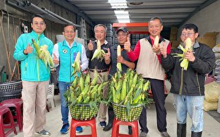 竹市議員力推「友善農業」成功經驗愛護地球