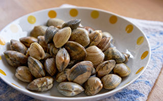 蛤蜊是「百味之冠」降膽固醇又養胃 教你3種作法