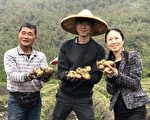 花蓮農第三代育苗70種 要實現有機育苗場