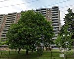 奇蹟！ 6歲女童從12層樓墜下後倖存