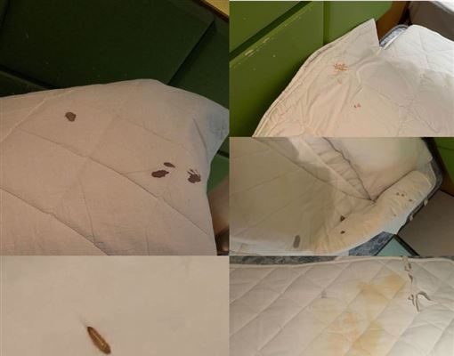 留英学生回国住天津隔离旅馆 床铺现血尿迹