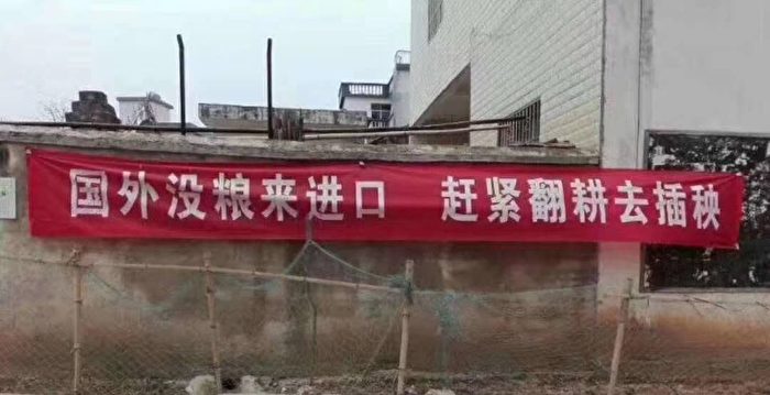 加大采购提高国内生产能让中国自给自足吗