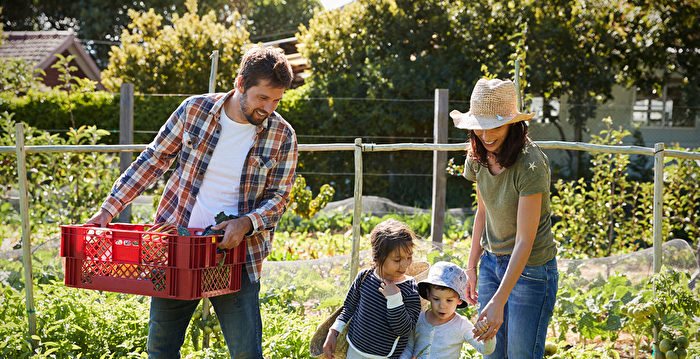 正值新泽西早春 哪些蔬菜您已可以开始种植了?