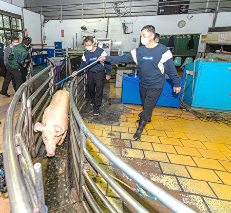 桃園市肉品市場屠宰區落實清洗及消毒場地作業。