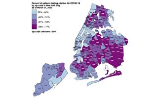 截至3月底  纽约市疫情严重的社区有哪些？
