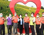 彰化花壇虎山巖金針花海 既可賞花又看古蹟