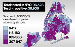 纽约市卫生局公布地图  显示社区确诊情况