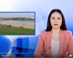 【澳洲简讯4.20】新州单日新增仅6例 东区海滩开放