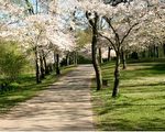 多倫多重開公園設施 仍需保持社交距離