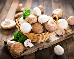 蘑菇不僅是超級食品 研究發現還有一大好處