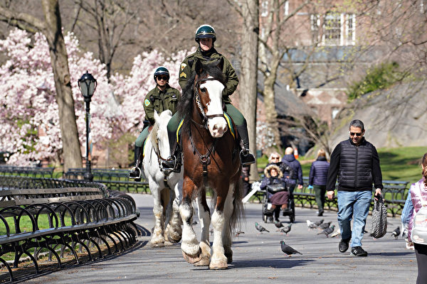 4月1日，骑警在中央公园巡逻。（Photo by Cindy Ord/Getty Images）