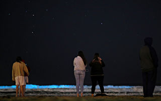 60年来首见 墨西哥海滩呈现一片蓝色萤光