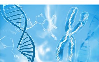 科学家揭秘蛋白如何协作完成DNA修复